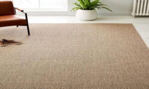 Sisal Carpet - Indoor or Outdoor