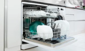Dishwashers